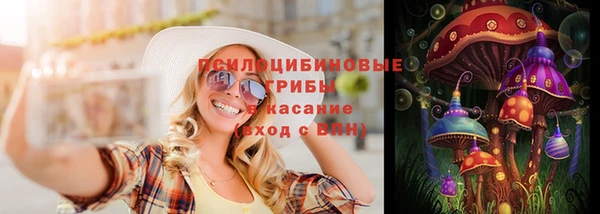 прущие грибы Алексин