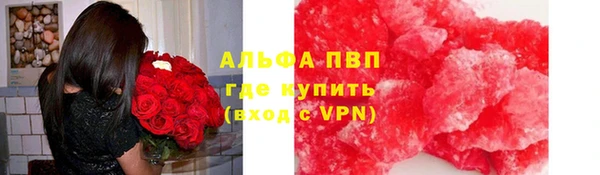 стафф Алзамай