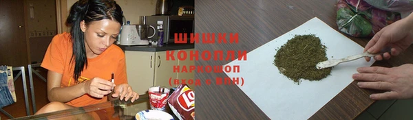 прущие грибы Алексин