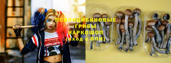 стафф Алзамай