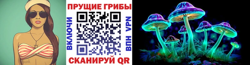 ссылка на мегу   Алзамай  Галлюциногенные грибы Psilocybine cubensis 